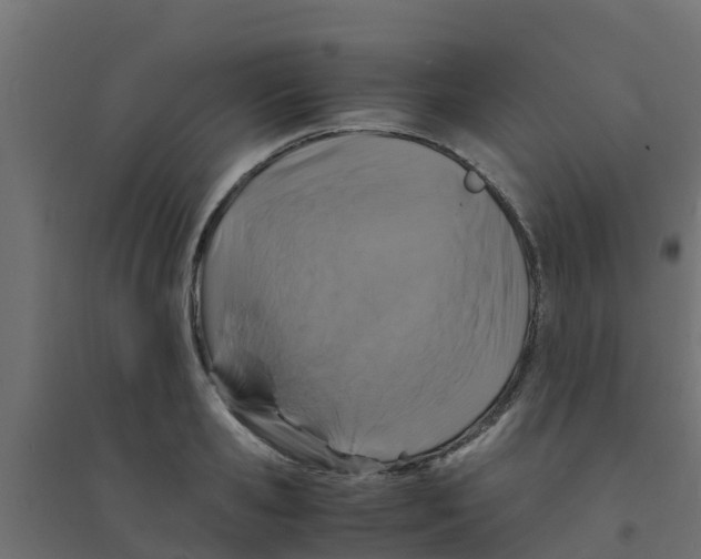 X0000094180941200711241550