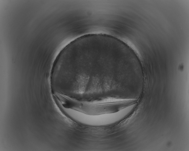 X0000094180943200711241550
