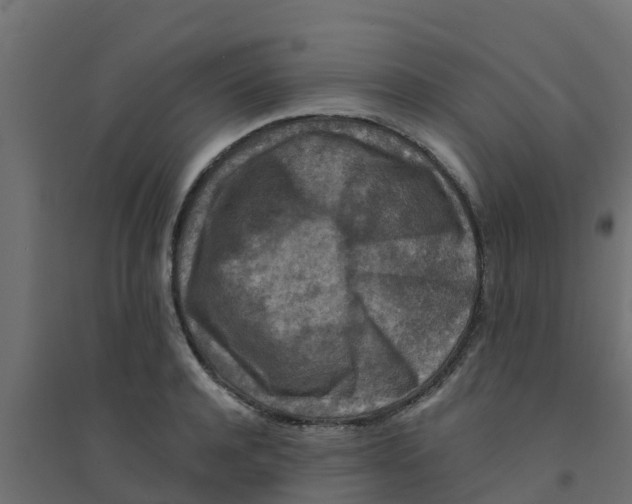 X0000094180944200711241550