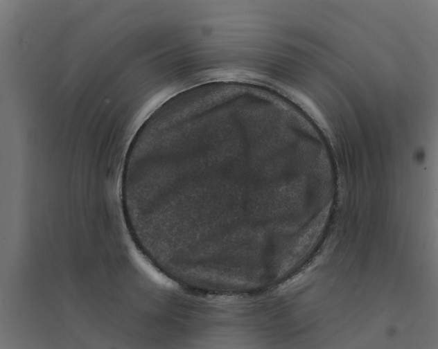 X0000094180946200711241550