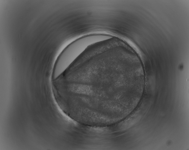 X0000094180951200711241550