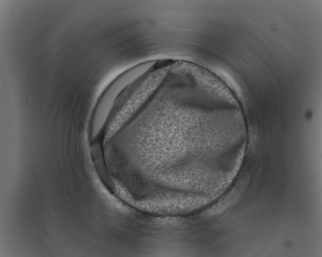 X0000094180952200711241550