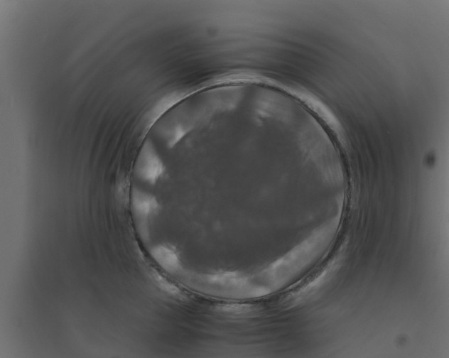 X0000094180953200711241550