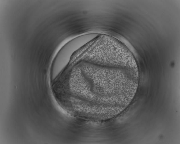 X0000094180955200711241550