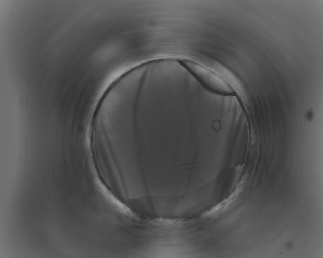 X0000094180958200711241550