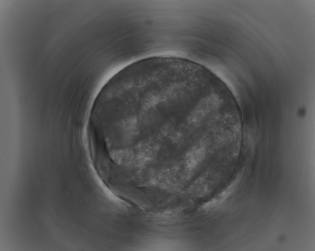 X0000094180959200711241550