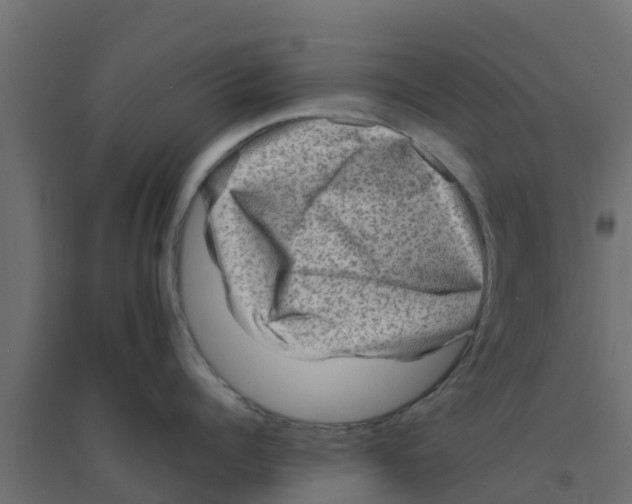 X0000094180960200711241550