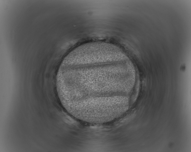 X0000094180961200711241549