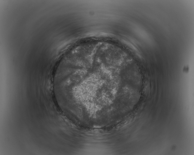 X0000094180966200711241549