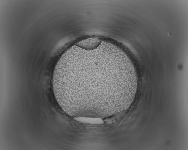 X0000094180967200711241549