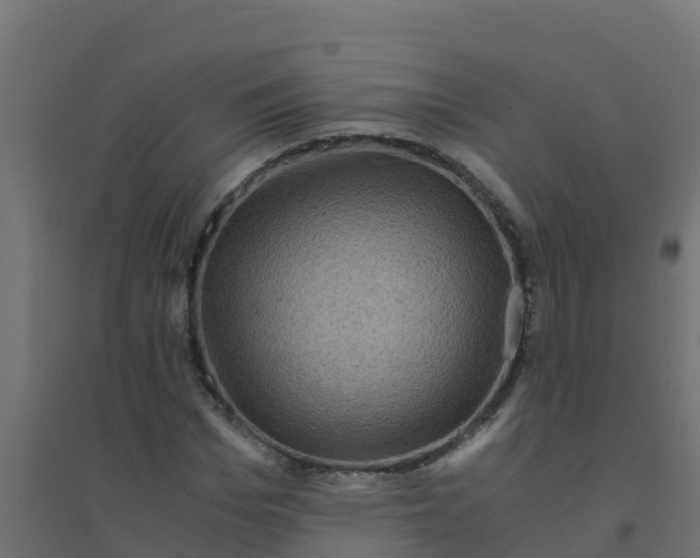 X0000094180969200711241549