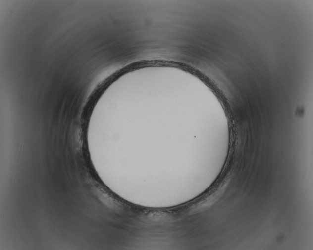 X0000094180974200711241549