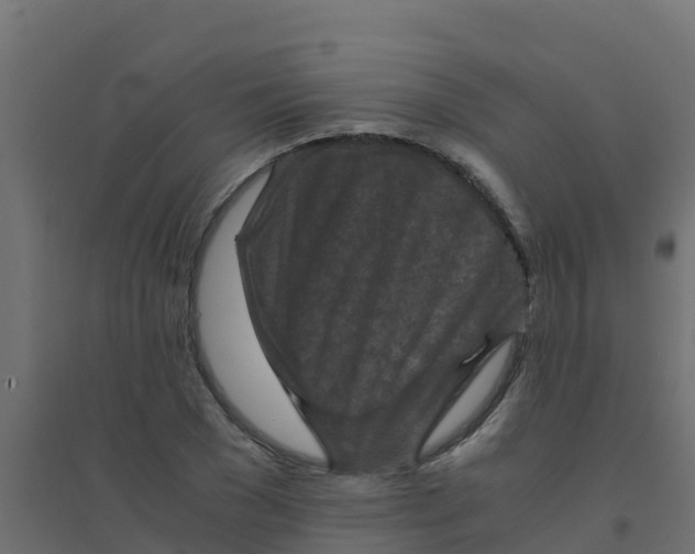X0000094180977200711241549