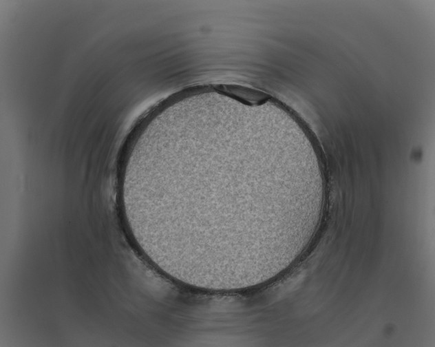 X0000094180979200711241549