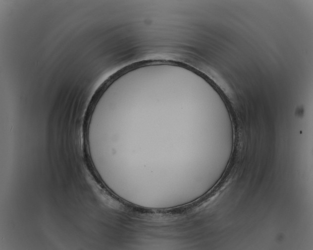 X0000094180980200711241549