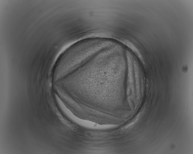 X0000094180981200711241549