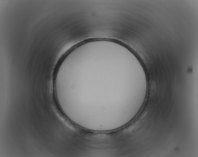 X0000094180982200711241549