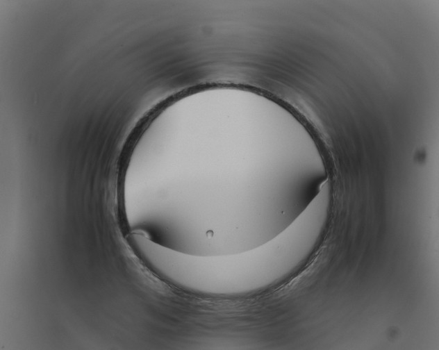 X0000094180984200711241549