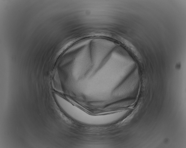 X0000094180985200711241549