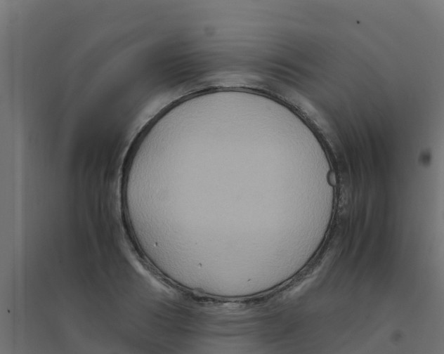 X0000094180986200711241549