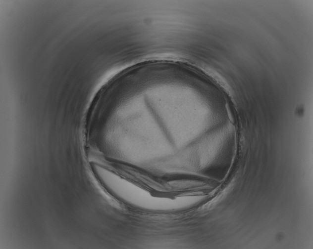 X0000094180989200711241549