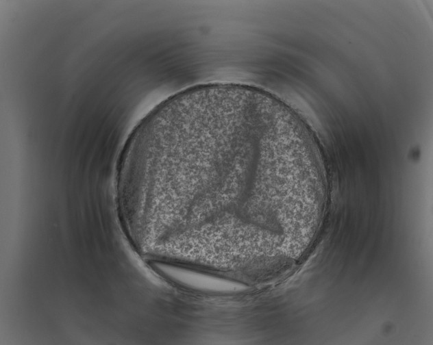 X0000094180990200711241549