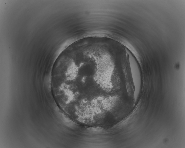 X0000094180994200711241549