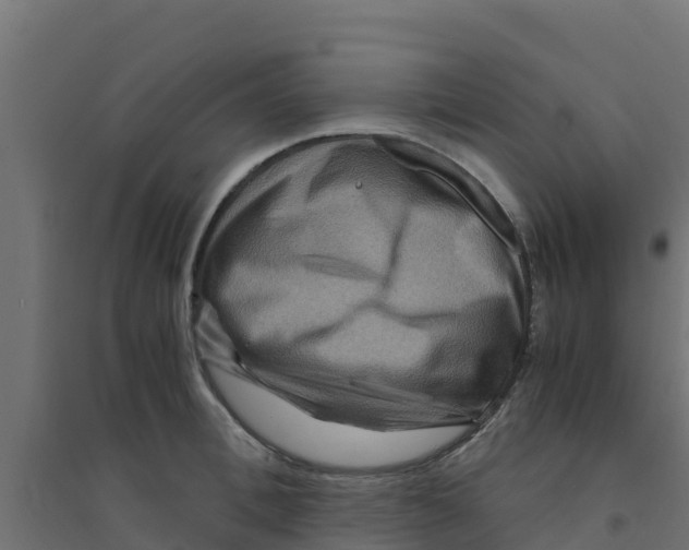 X0000094180996200711241549