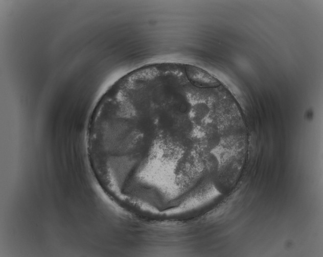 X0000094180998200711241549