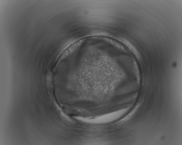 X0000094181001200711241549