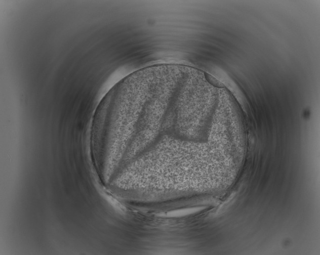 X0000094181002200711241549