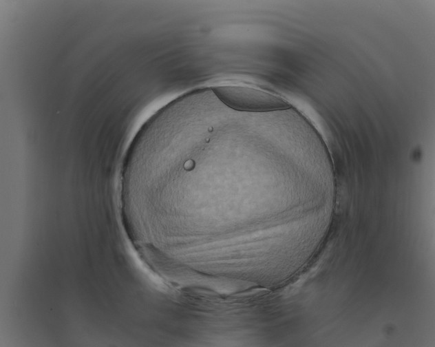 X0000094181003200711241549