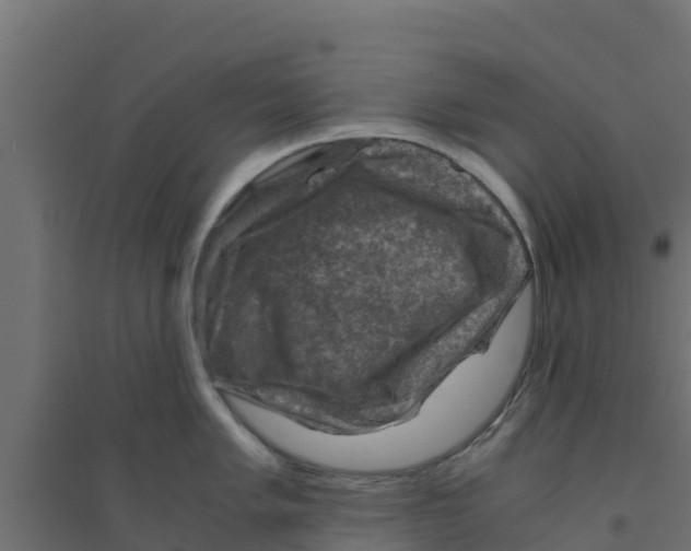 X0000094181005200711241549