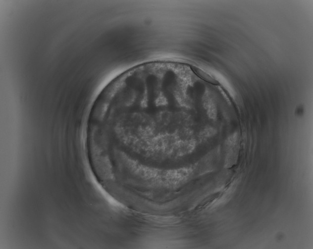 X0000094181007200711241549