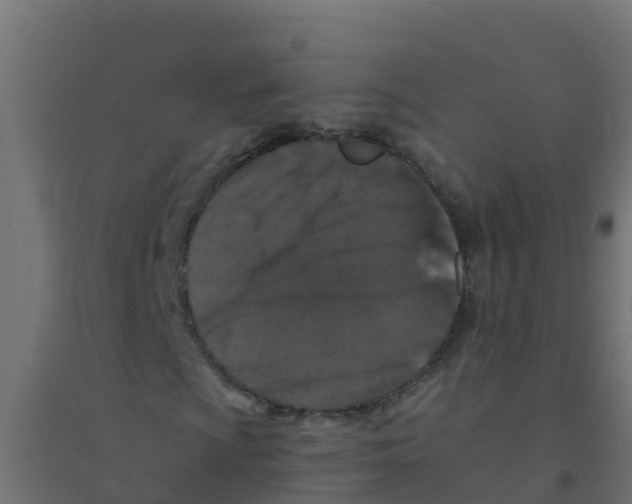 X0000094181009200711241548