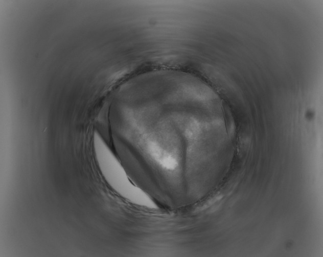 X0000094181010200711241548