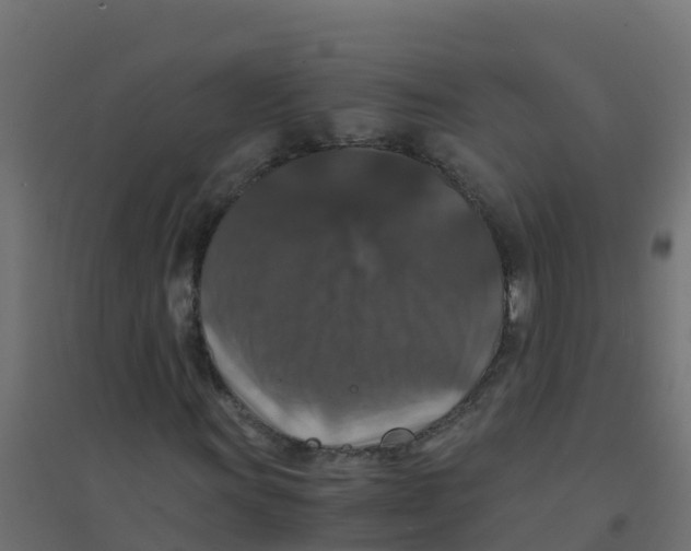 X0000094181011200711241548