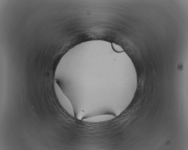 X0000094181012200711241548