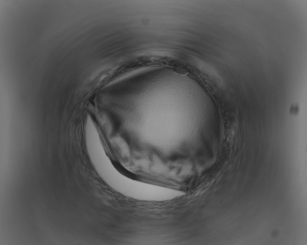 X0000094181014200711241548