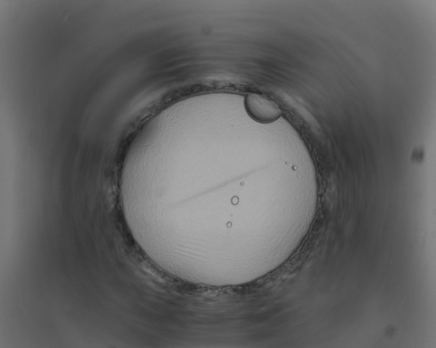 X0000094181015200711241548