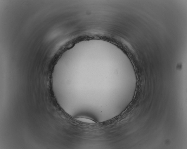 X0000094181016200711241548