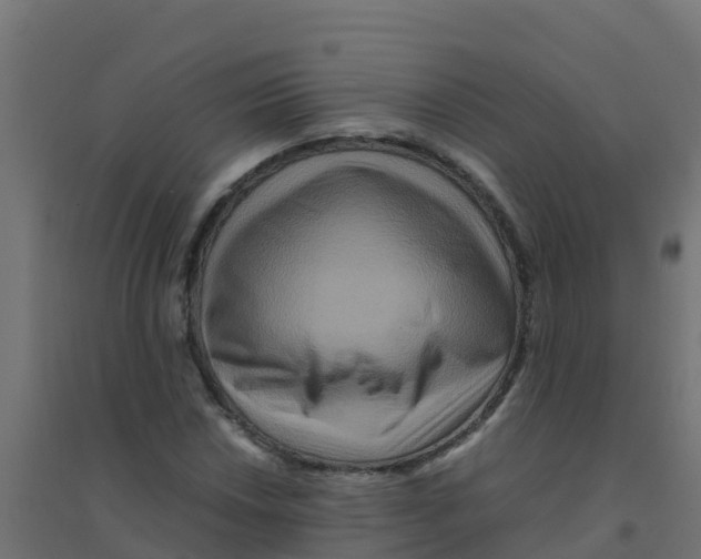 X0000094181018200711241548