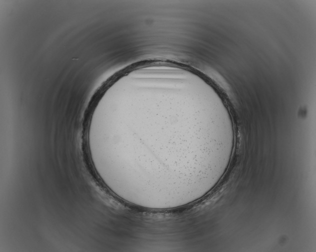 X0000094181020200711241548