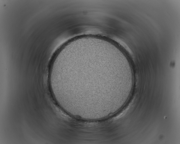 X0000094181021200711241548