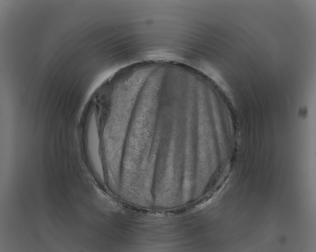 X0000094181022200711241548