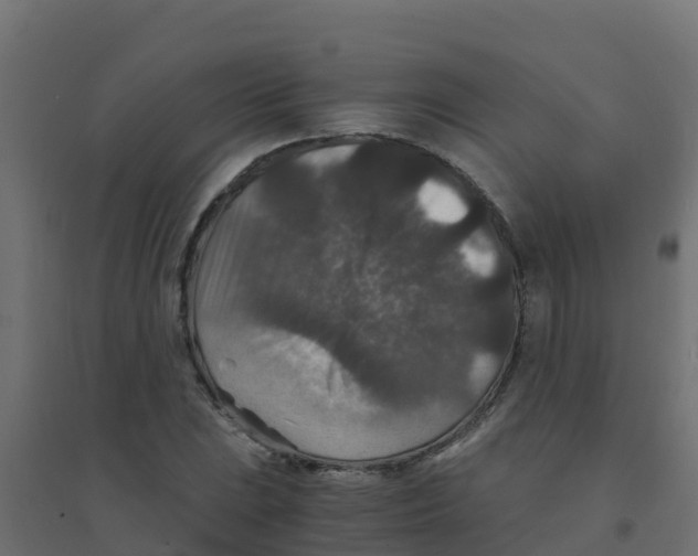 X0000094181023200711241548