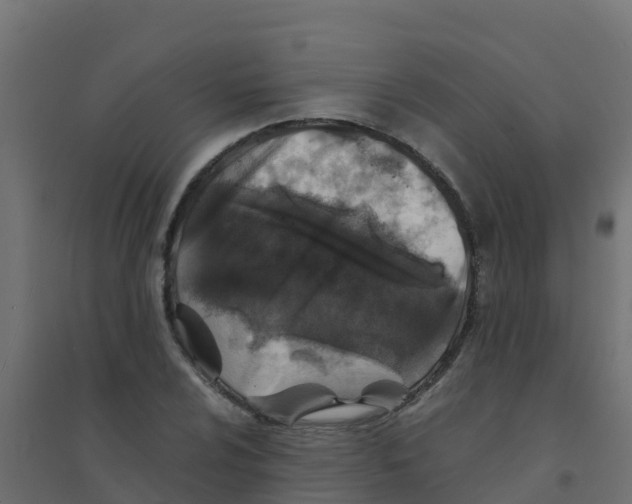 X0000094181024200711241548