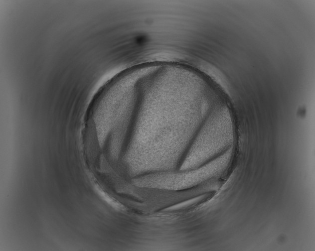 X0000094181026200711241548