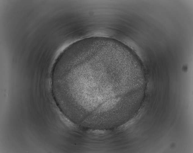 X0000094181027200711241548