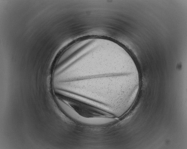 X0000094181029200711241548